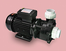 Pompa spa 2,5hp