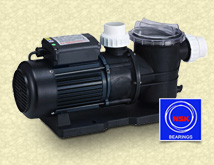 Pompa kolam renang 1 HP